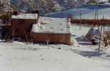paesaggio_rurale_-_neve_(1).jpg