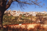 pan._poggio_(1).jpg